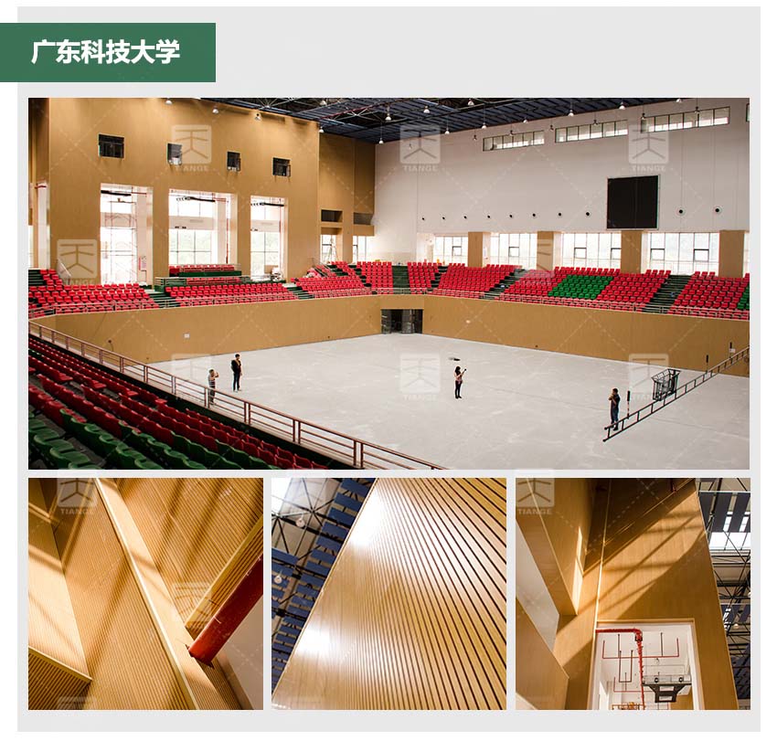 劇院槽木吸音板體育館工程案例 劇院槽木吸音板體育館工程案例