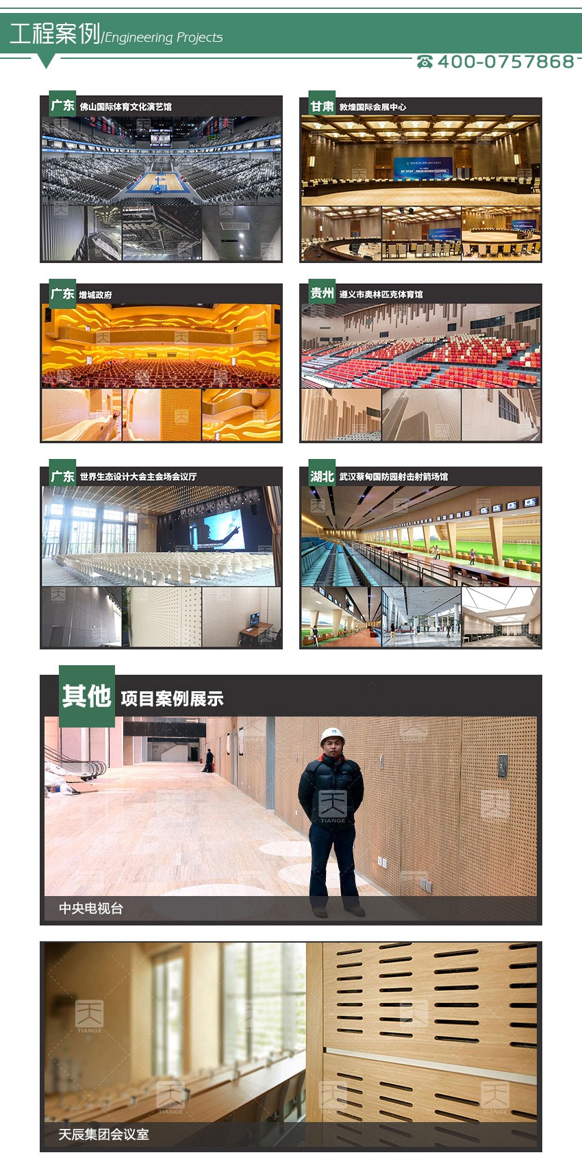 音樂廳孔木吸音板工程案例