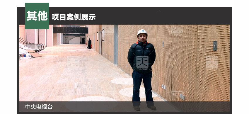 白色玻鎂穿孔吸音板工程案例