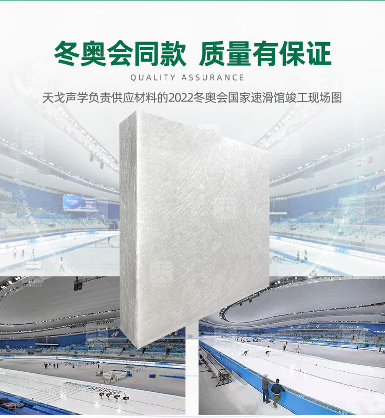 冬奧會場館同款環(huán)保無甲醛憎水吸聲體