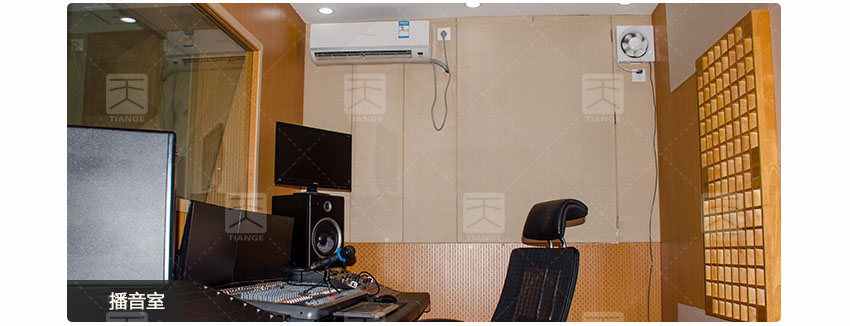 廣東天戈吸音板廠家