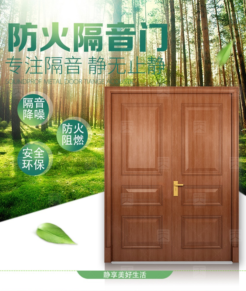 鋼質(zhì)木紋隔音門-1