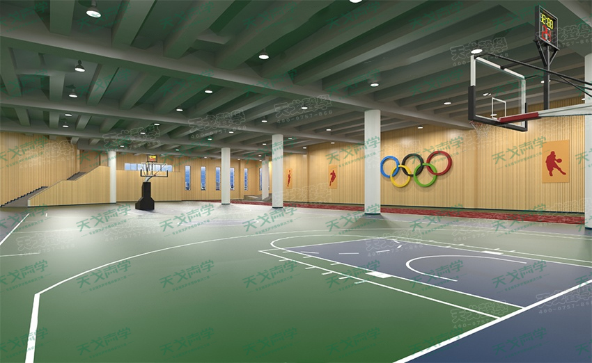 湖南長(zhǎng)沙財(cái)經(jīng)學(xué)院體育館聲學(xué)設(shè)計(jì)工程