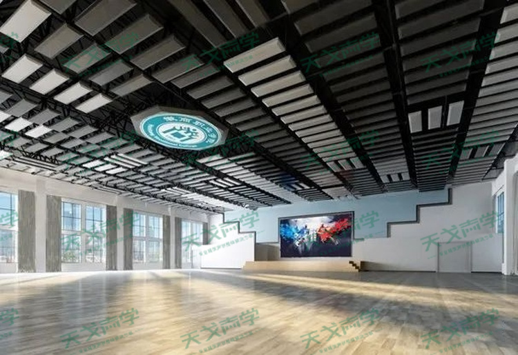 安徽徽商職業(yè)技術學院藝體中心聲學設計工程